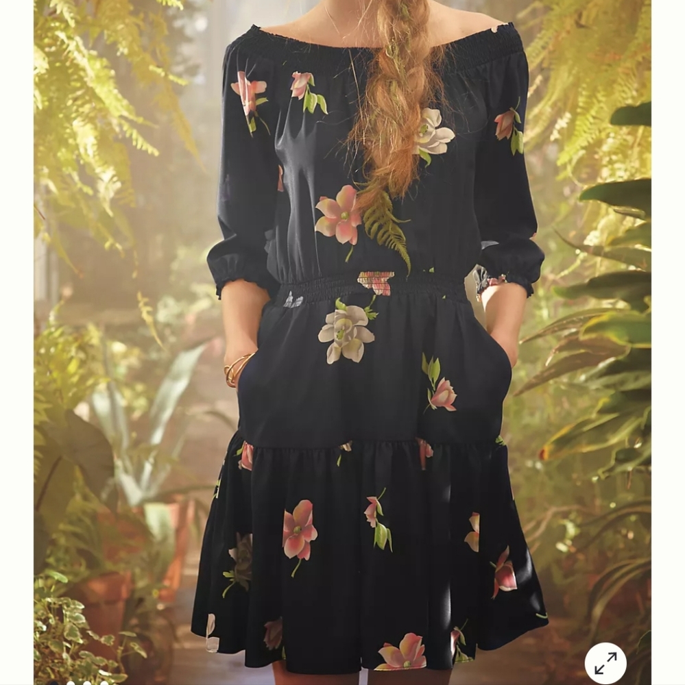 Anthropologie- Lil brand Lolanthe Dress, Size XS
